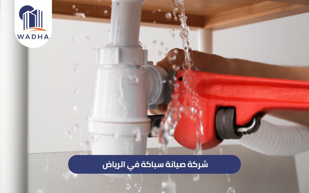 شركة صيانة سباكة